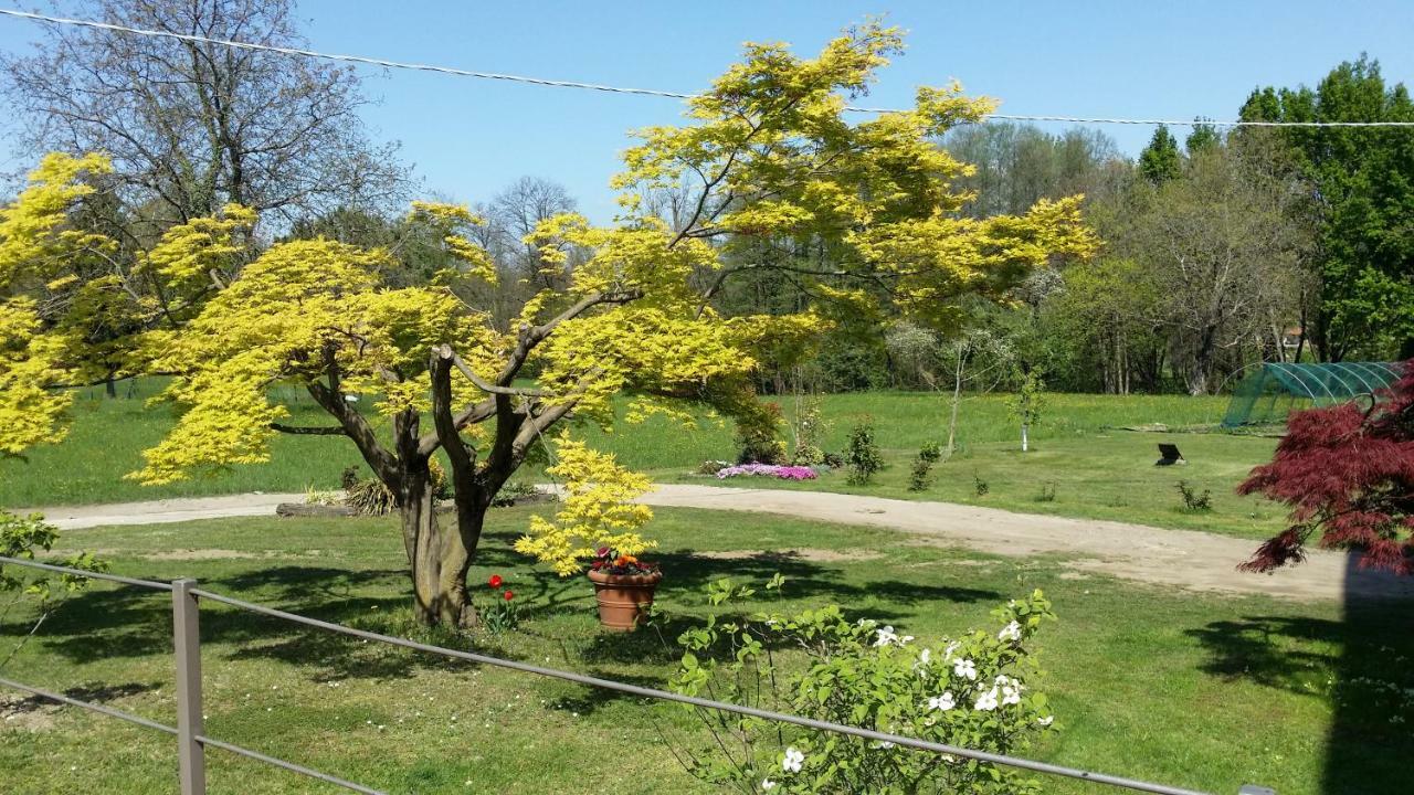 Sei A Sereia Invorio Inferiore Buitenkant foto